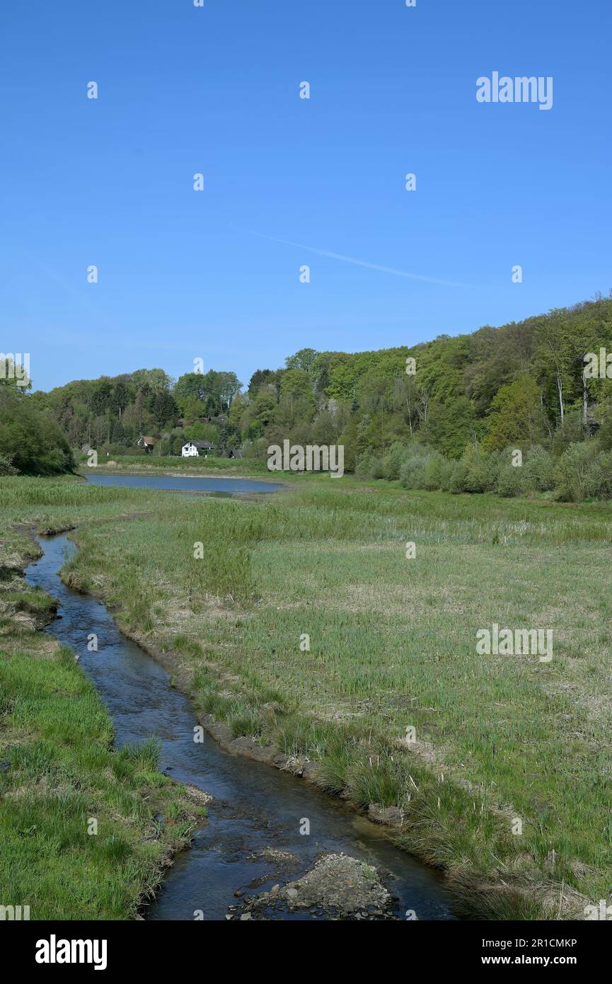 Renaturierungsmaßnahme, Diepental Reservoir, Leichlingen (Rheinland, Deutschland Stockfoto