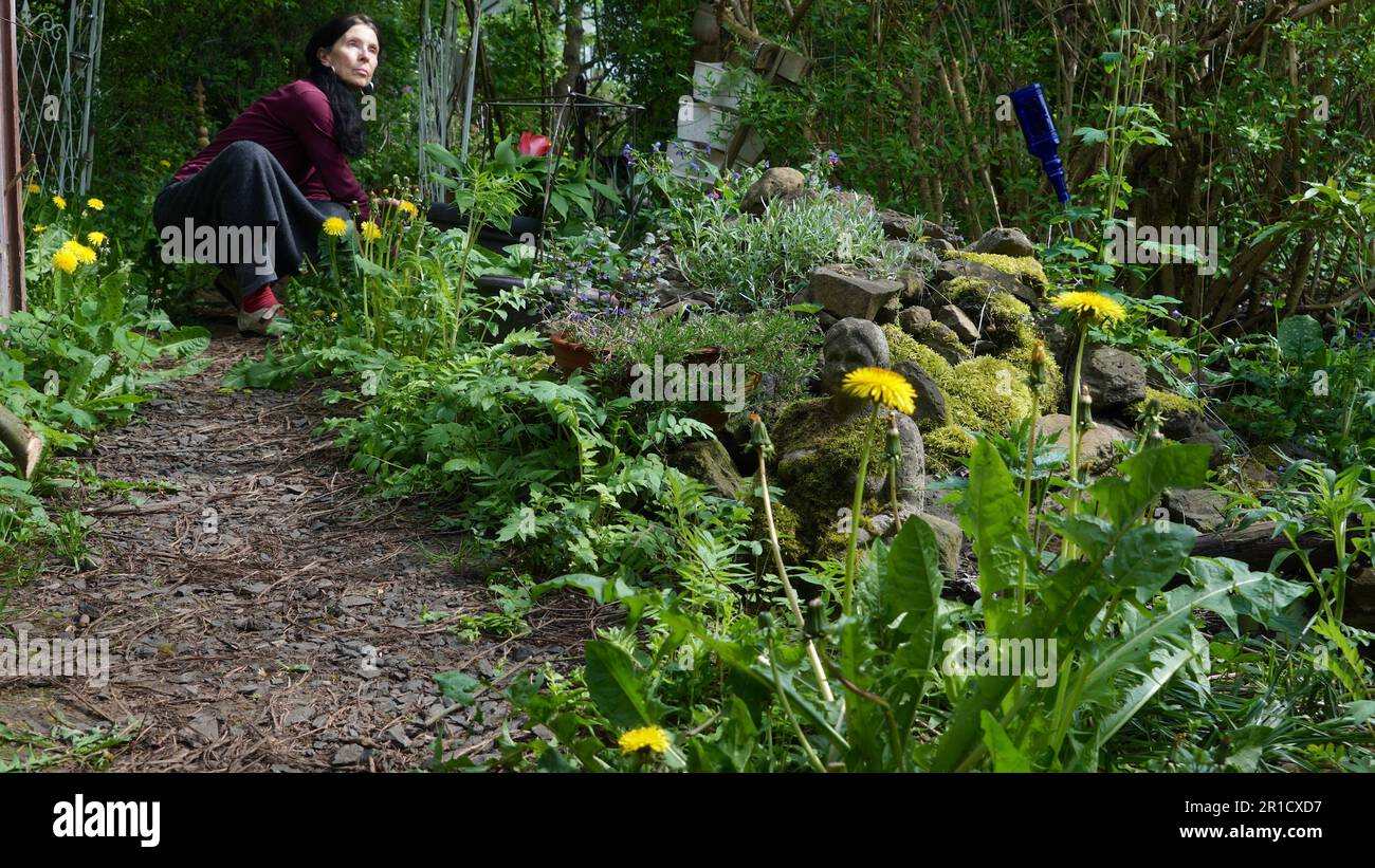 Ein bienenfreundlicher Naturgarten im Frühling. Eine Frau, die im Hintergrund gärtnert und nach oben schaut. Stockfoto