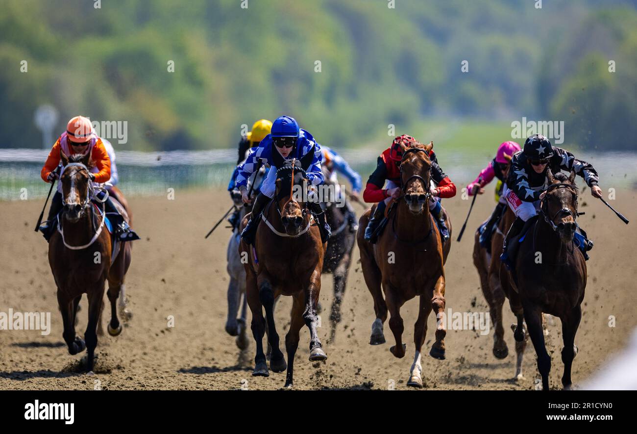 Rechtsreform geritten vom Jockey Richard Kingscote (Mitte links), der die Fitzdares gewann und seit 1882 Handicap während des Derby and Oaks Trial Raceday in Lingfield Park, Surrey, Wetten annahm. Foto: Samstag, 13. Mai 2023. Stockfoto