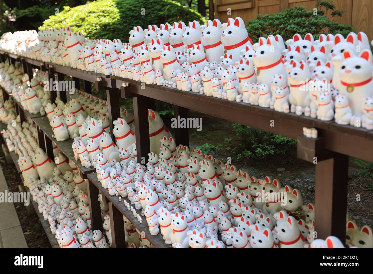 Gotokuji, der berühmte Katzenschrein in tokio, dessen Maskottchen die winkende Katze ist Stockfoto