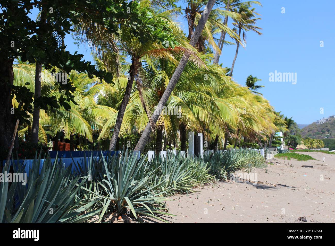 Strandgärten in San Juan del Sur, Nicaragua Stockfoto