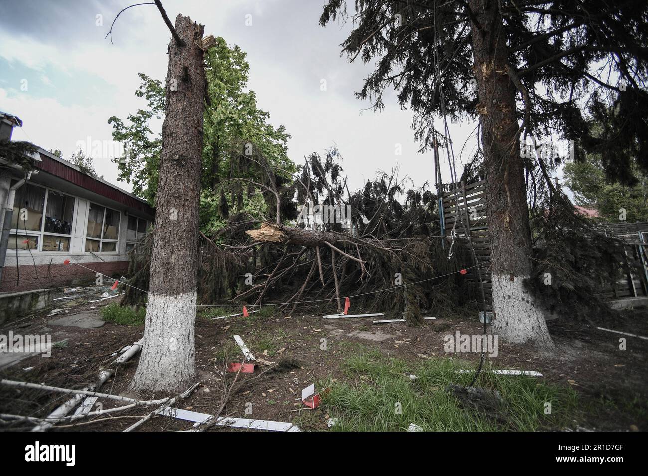 Polohy, Saporischschhien, Ukraine. 10. Mai 2023. BILD BEREITGESTELLT VON DER STAATLICH KONTROLLIERTEN RUSSISCHEN AGENTUR SPUTNIK 8431178 10.05.2023 Eine Ansicht zeigt einen Baum, der nach einer Bombardierung durch ukrainische Streitkräfte im Rahmen der russischen Militäroperation in der Ukraine in der Stadt Polohy, Gebiet der Region Zaporischschien, gebrochen wurde, die Russland erreicht hat. Konstantin Mihalchevskiy/Sputnik/ABACAPRESS.COM Kredit: Abaca Press/Alamy Live News Stockfoto