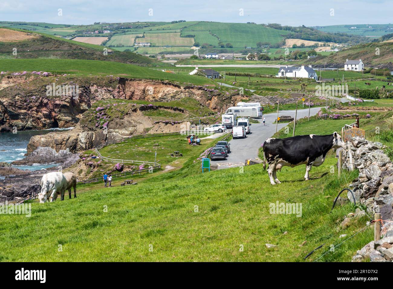 Dunworley Beach, West Cork, Irland. 13. Mai 2023. Touristen und Einheimische besuchten Dunworley Beach heute, um das Beste aus dem warmen Sonnenschein zu machen. Met Eireann hat für die nächsten Tage Temperaturen von 20C °C prognostiziert, nächste Woche wird es regnen. Kredit: AG News/Alamy Live News Stockfoto Dunworley Beach, West Cork, Irland. 13. Mai 2023. Touristen und Einheimische besuchten Dunworley Beach heute, um das Beste aus dem warmen Sonnenschein zu machen. Met Eireann hat für die nächsten Tage Temperaturen von 20C °C prognostiziert, nächste Woche wird es regnen. Kredit: AG News/Alamy Live News Stockfoto