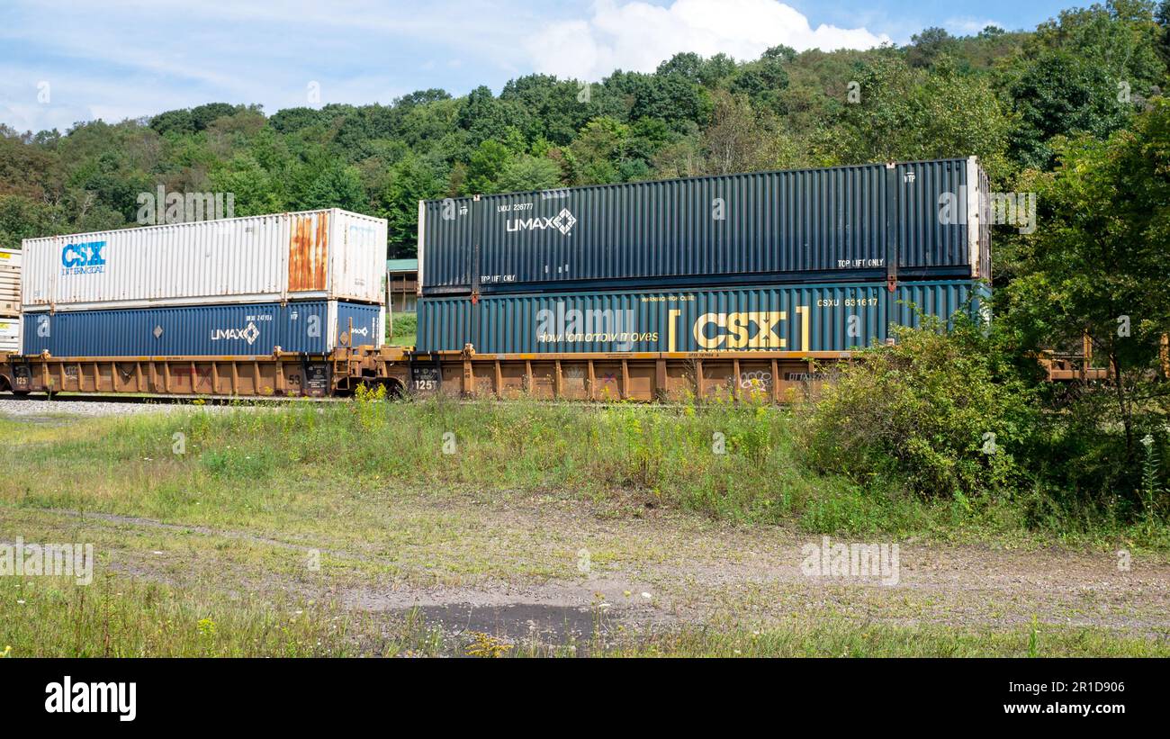 Eine mittelgroße Aufnahme von intermodalen Güterwagen Stockfoto