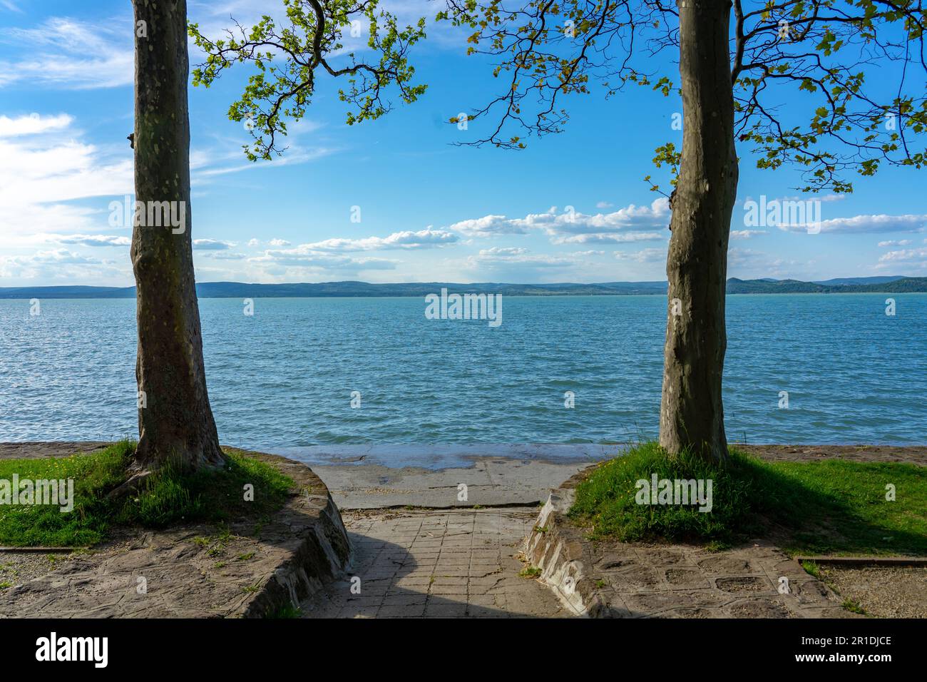 Freier Strand am Balaton mit Bäumen und Natur in Balatonfoldvar Ungarn. Stockfoto