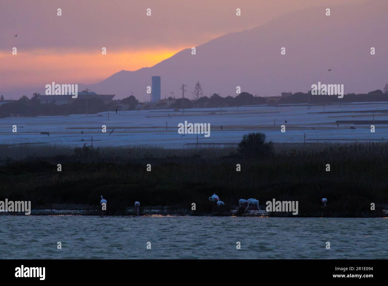 Naturschutzgebiet Punta entina sabinar in der Abenddämmerung, roquetas de mar, almeria, spanien Stockfoto