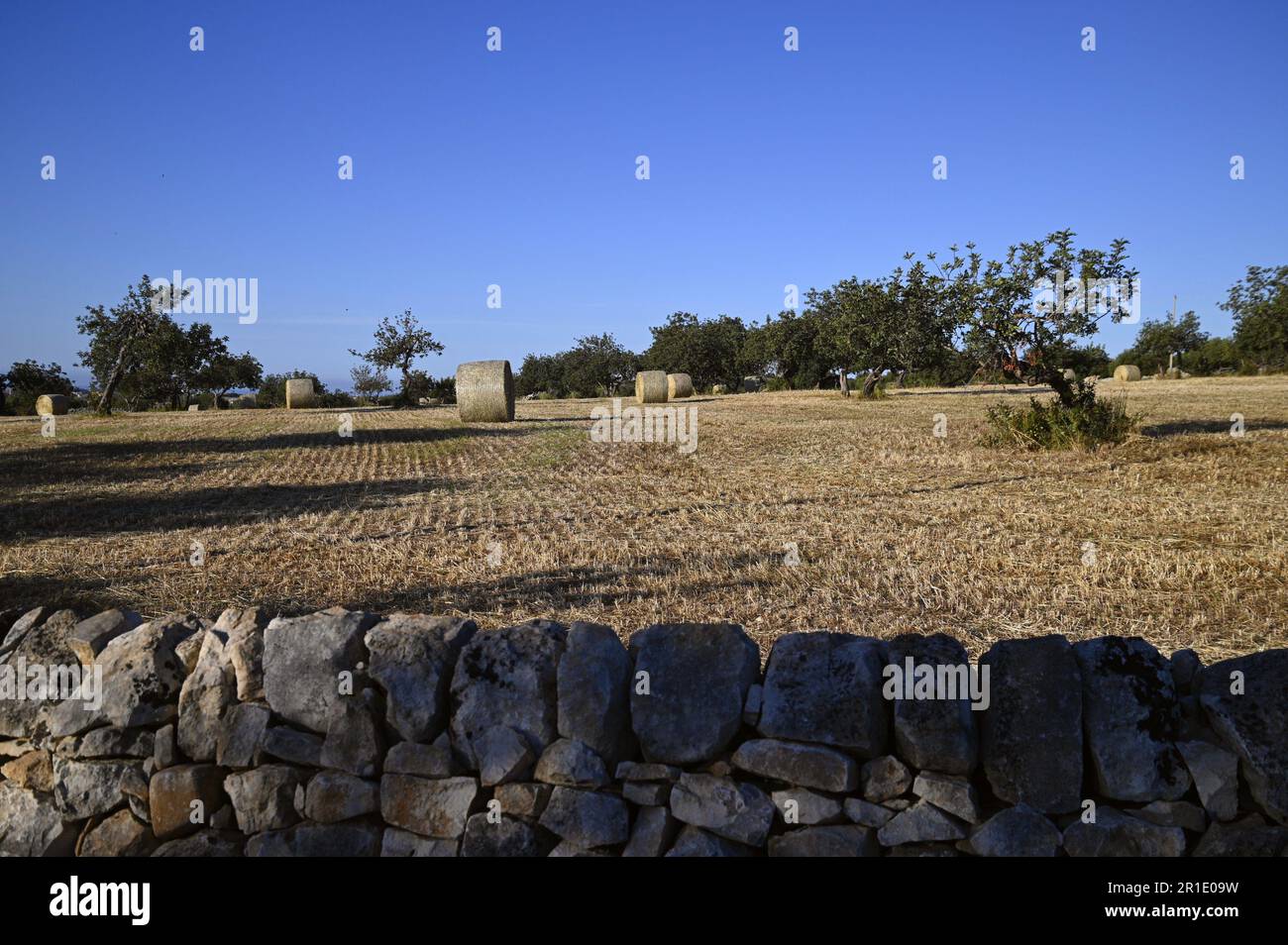 Ländliche Landschaft mit malerischem Blick auf gerollte Heuschachteln in der Landschaft von Cava Ispica in Sizilien, Italien. Stockfoto