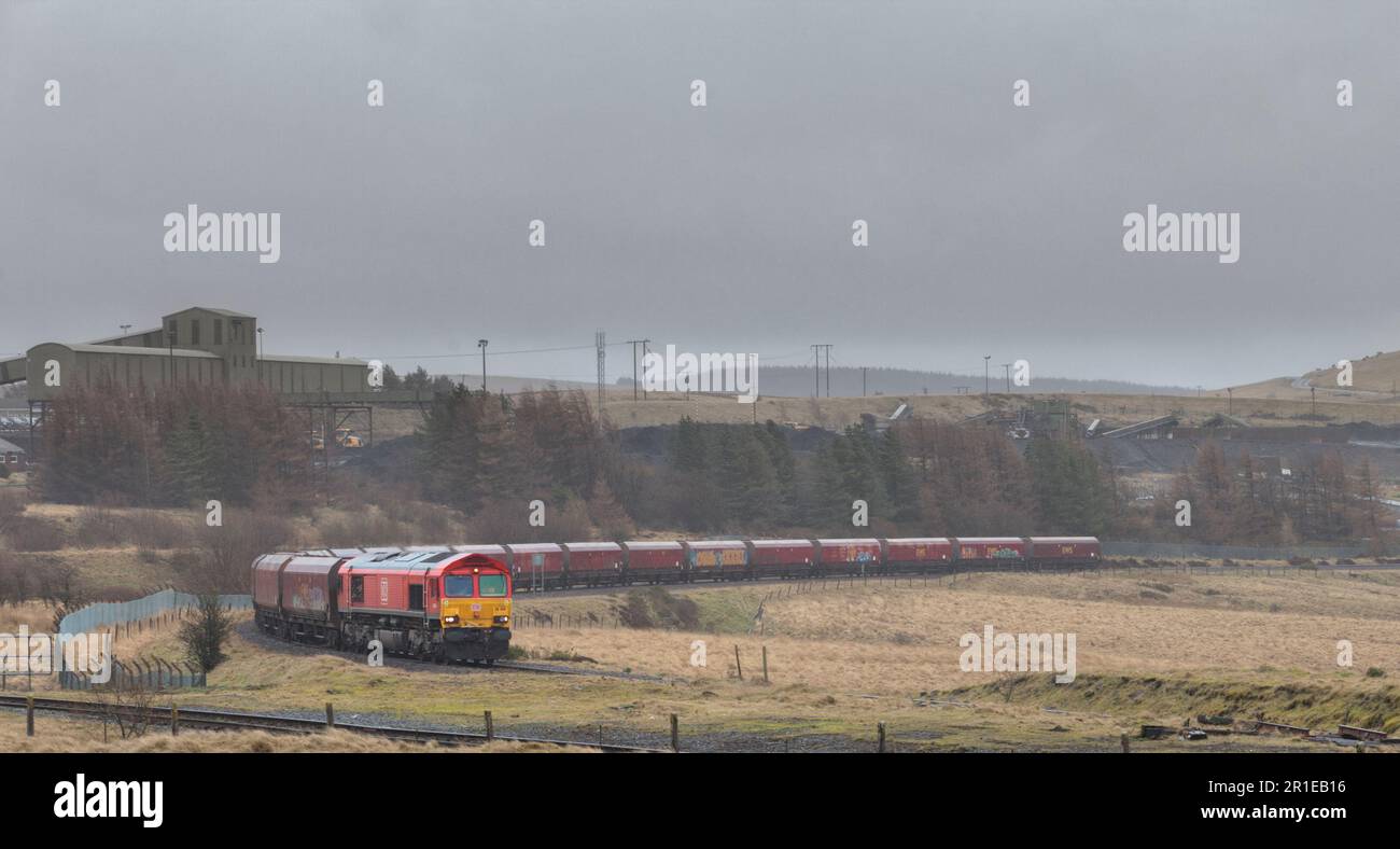 DIESELLOKOMOTIVE DER KLASSE 66 DER DB Cargo Rail, die am Endlager Cwmbargoed ankommt, mit einem Zug, der mit Kohle aus dem Kohlebergwerk Ffos-Y-Fran beladen wird Stockfoto