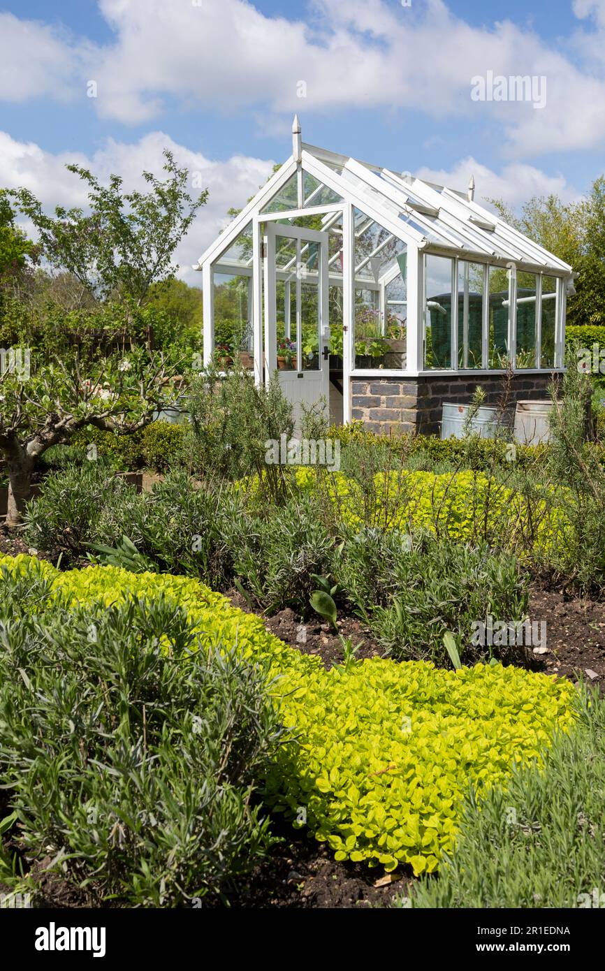 Ein Gartengelände mit Saatbeeten und einem gläsernen Gewächshaus im Zentrum des Küchengartens. Ein Vorort- oder rustikaler Garten für Gartenarbeit. Ein warmer Sommertag. Stockfoto