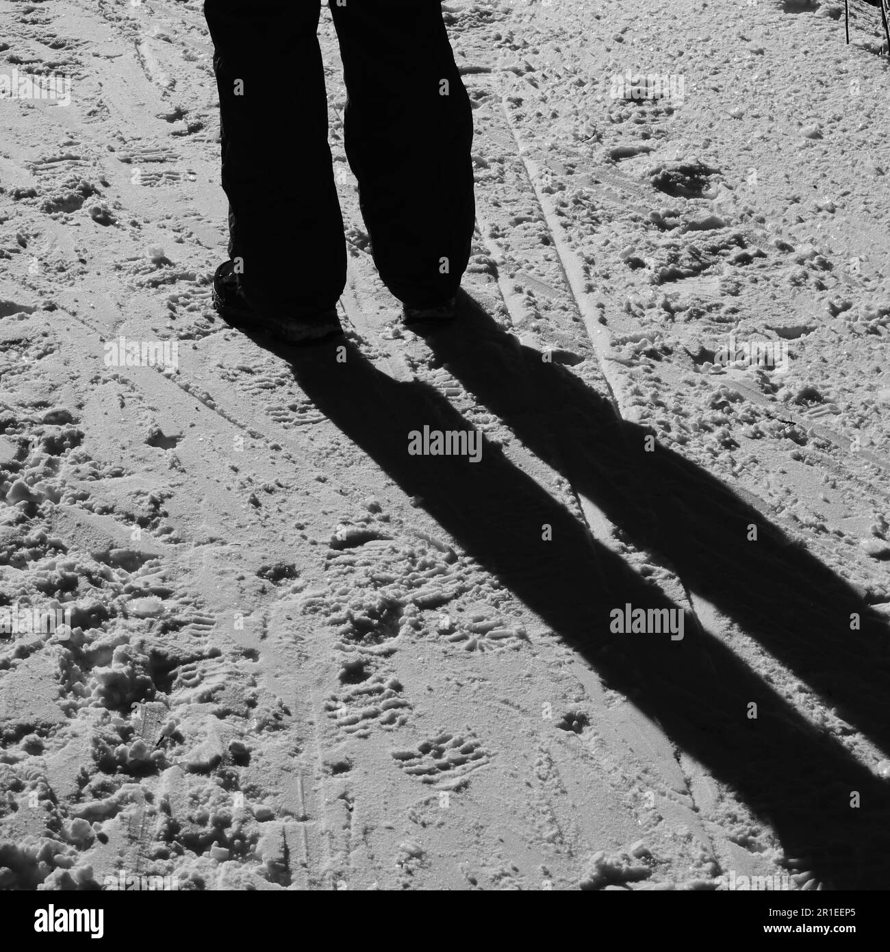 Person, die auf hellem Schnee steht und einen langen Schatten wirft Stockfoto