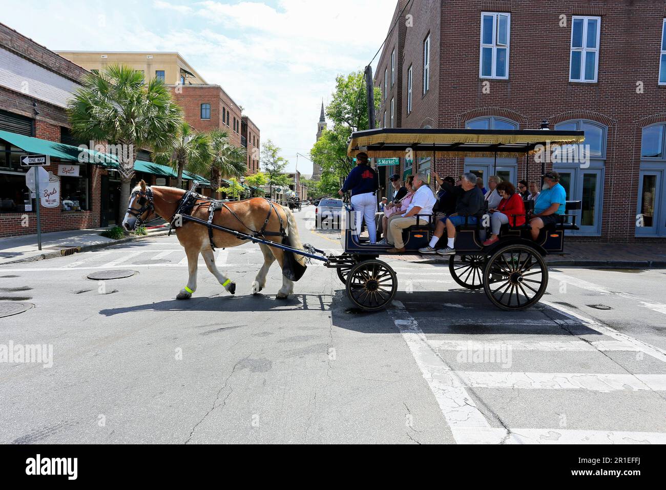 Kutschfahrt, Tour, Kutsche, Charleston, SC, South carolina, USA, Stadt, Innenstadt, Straße, amerika, amerika, Tourist, Attraktion, Tourismus, vereinigte Staaten Stockfoto