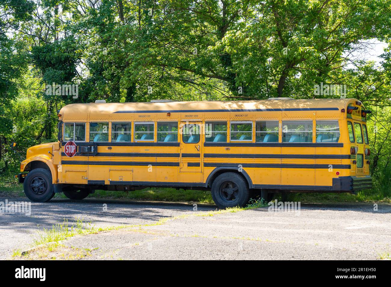 Ein alter gelber Schulbus vor grünen Bäumen Stockfoto