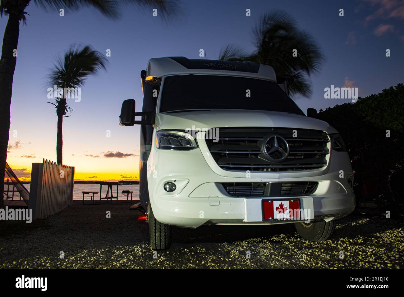 Kanadische Schneevögel im Boyd's RV Park in Key West, Florida Stockfoto