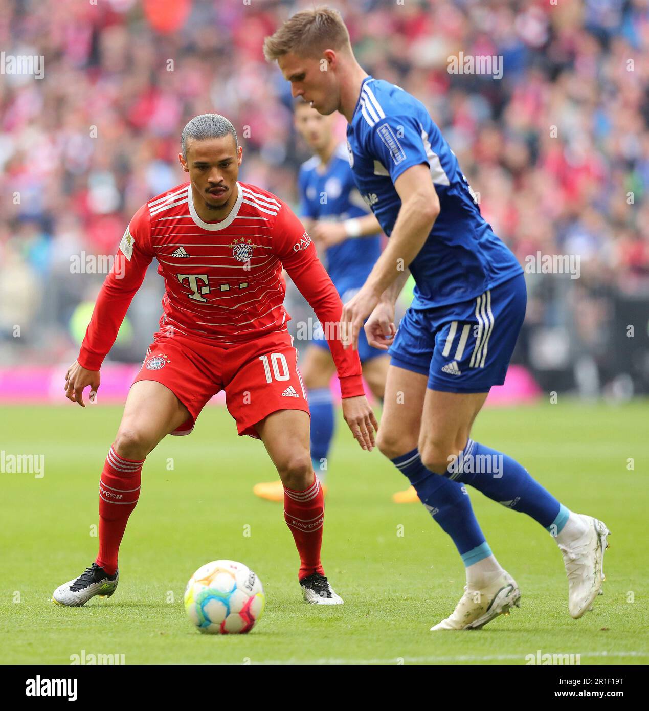 München, Deutschland. 13. Mai 2023. Firo : 05/13/2023, Fußball, 1. Liga ...