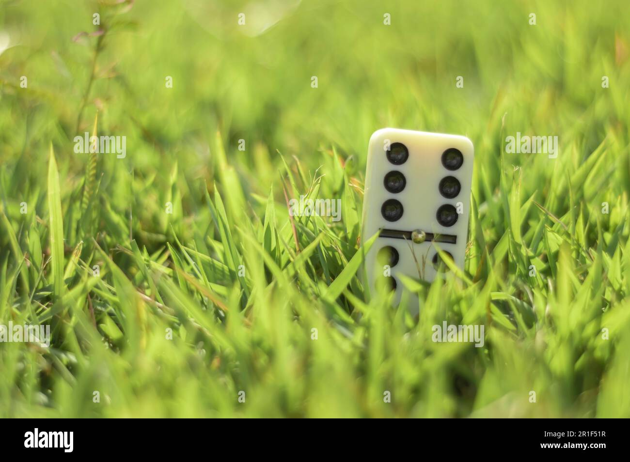 Domino-Stücke mit Gras im Hintergrund an einem sonnigen Tag, abstraktes Konzept. Stockfoto