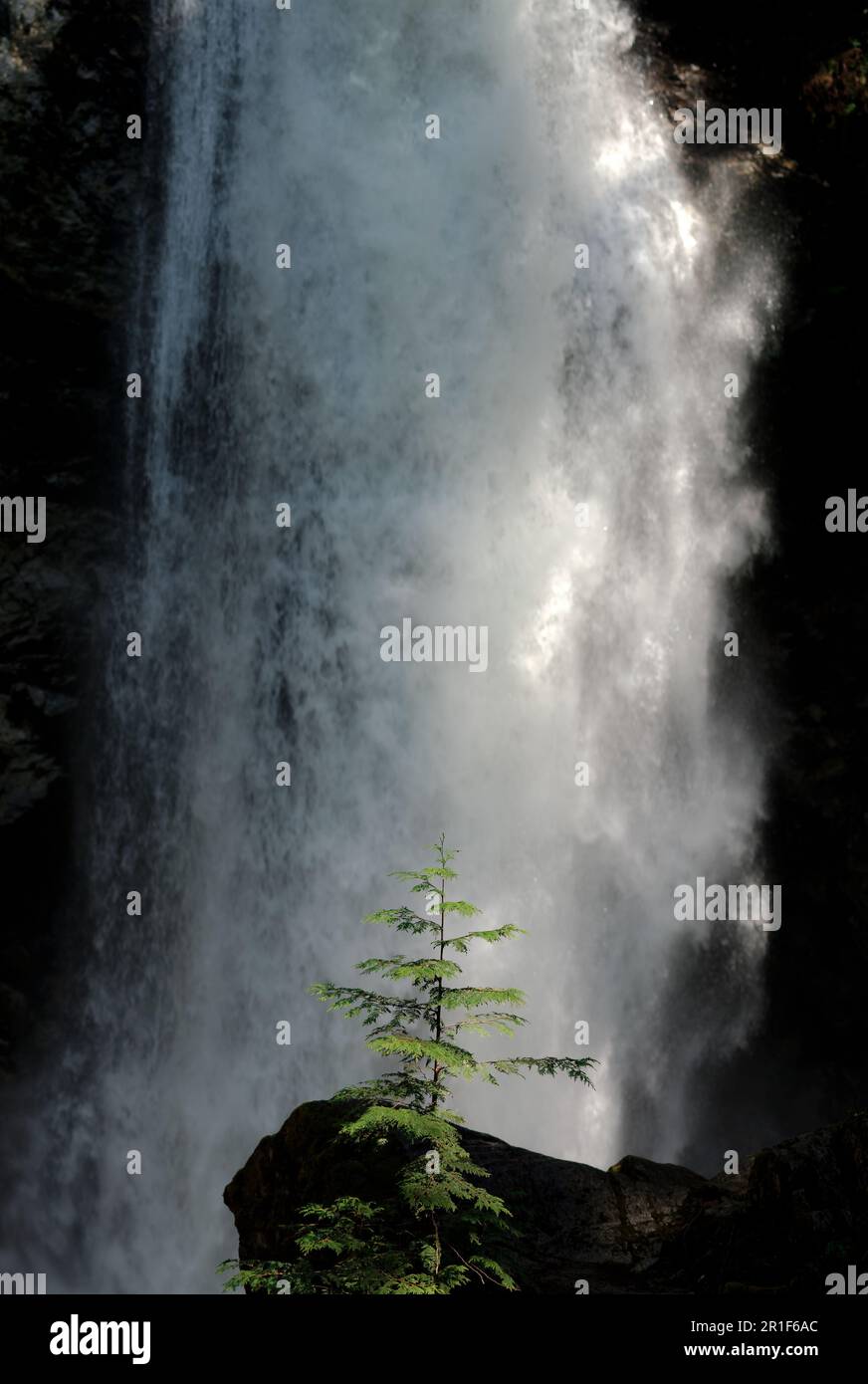 Der Cascades-Wasserfall in einem Provinzpark in British Columbia, Kanada. Stockfoto