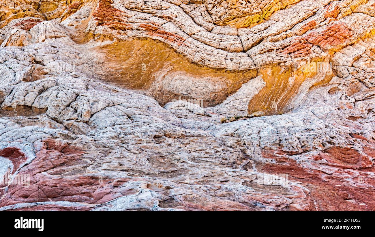 White Pocket Felsformationen, Vermillion Cliffs Wilderness, Arizona Stockfoto