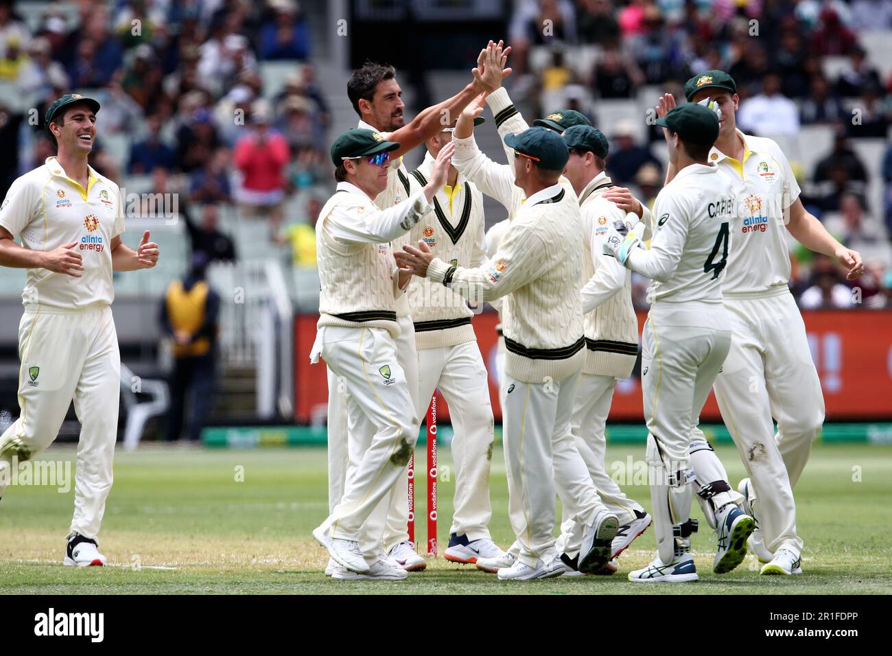 Melbourne, Australien, 26. Dezember 2021. MELBOURNE, AUSTRALIEN - 26. DEZEMBER: Australien feiert das Wicket von Joe Root of England während des Testspiels am zweiten Weihnachtsfeiertag in der Ashes-Reihe zwischen Australien und England auf dem Melbourne Cricket Ground am 26. Dezember 2021 in Melbourne, Australien. (Foto: Dave Hewison/Speed Media) Kredit: Dave Hewison/Speed Media/Alamy Live News/Alamy Live News Stockfoto