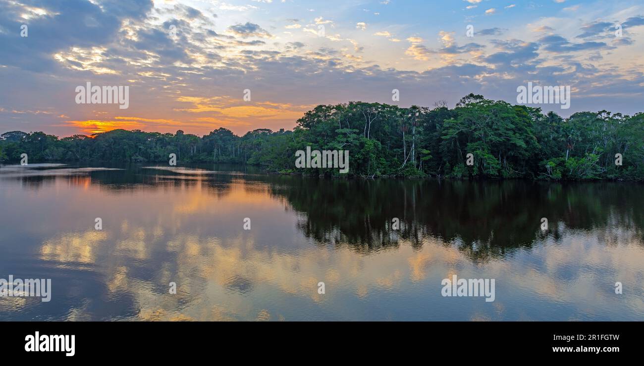 Amazonas-Regenwald-Flusspanorama bei Sonnenaufgang, Yasuni-Nationalpark, Ecuador. Stockfoto