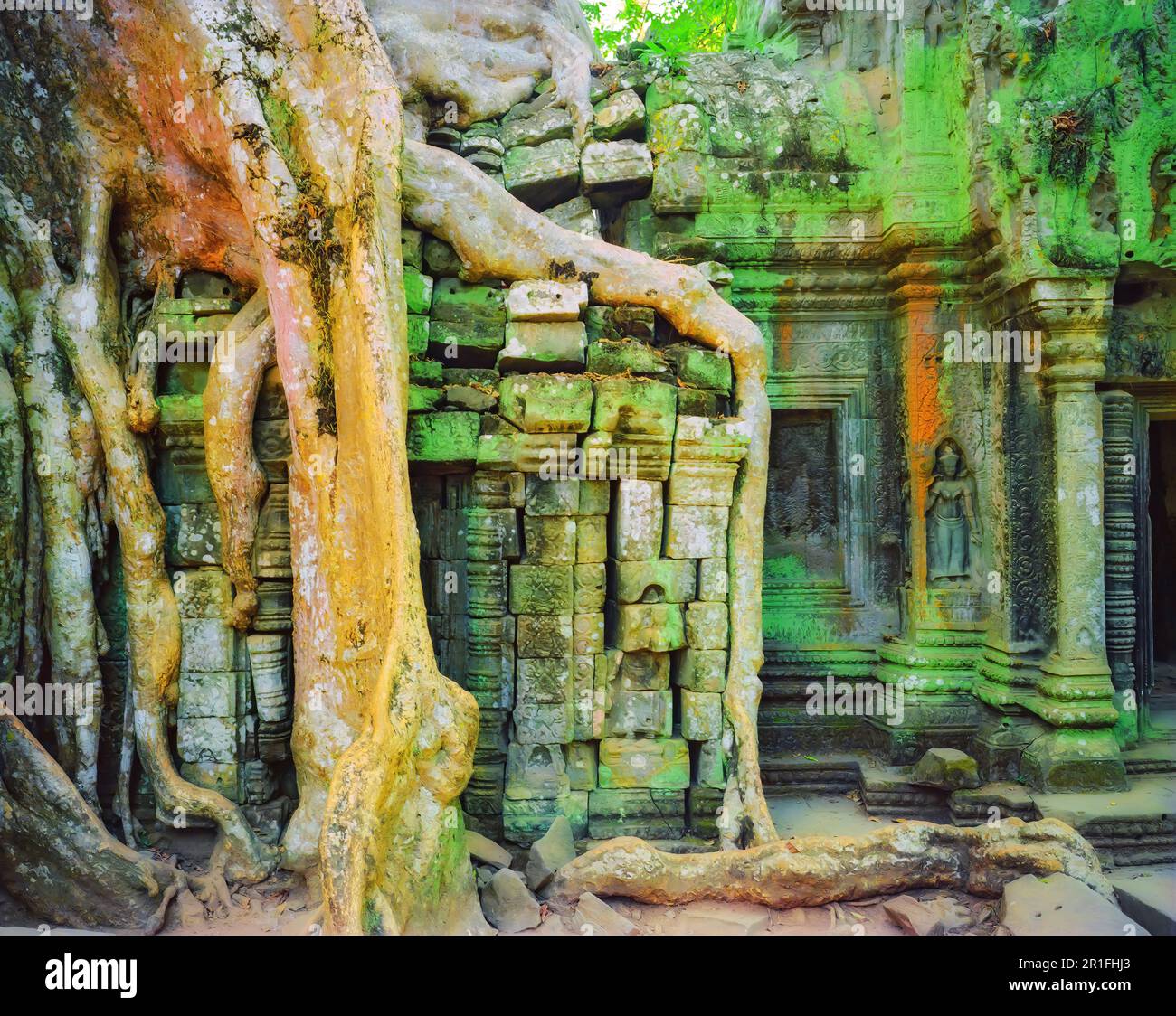 Überwucherte Überreste des Ta Prohm Tempels, in der Nähe von Angkor Wat, Kambodscha Stockfoto