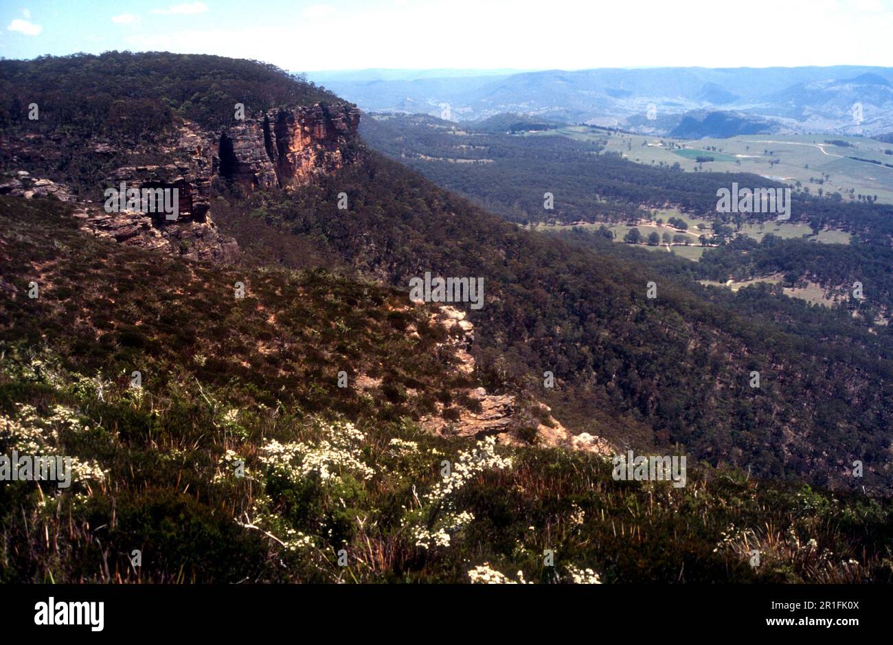 Der Great Dividing Range Steilhang mit Ebenen dahinter, Blue Mountains, NSW Australien Stockfoto