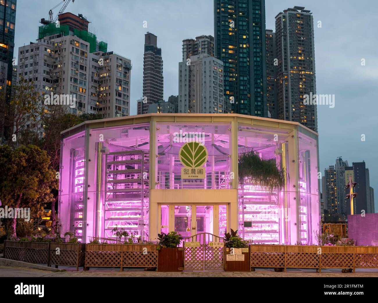 K-FARM der erste städtische Bauernhof in Hongkong, der Hydrokultur, Aquaponik und biologische Landwirtschaftssysteme umfasst. Hongkong, China. Stockfoto