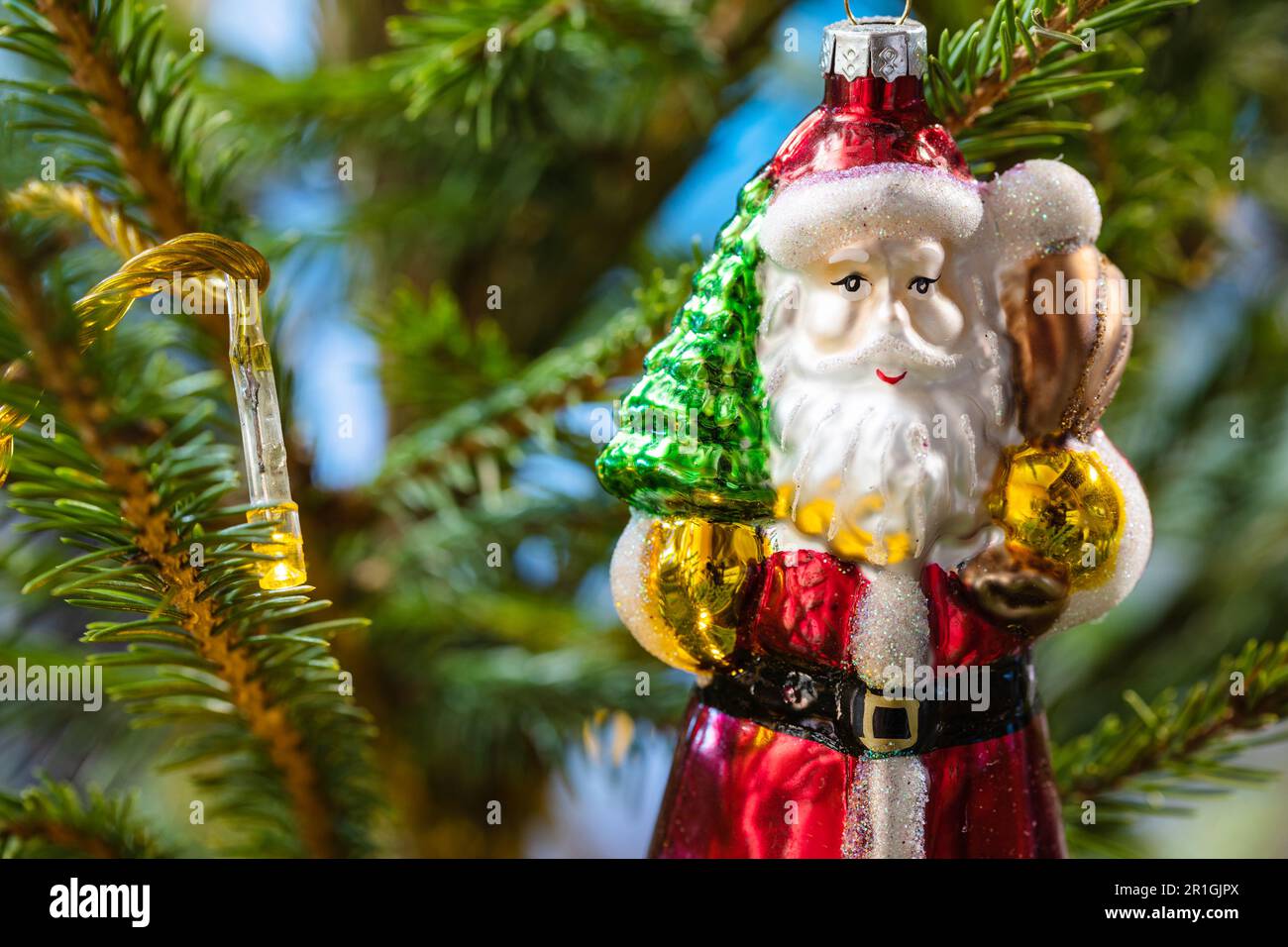 weihnachtsmann-Figur aus Glas und Lampe auf natürlichem weihnachtsbaum aus  nächster Nähe Stockfotografie - Alamy