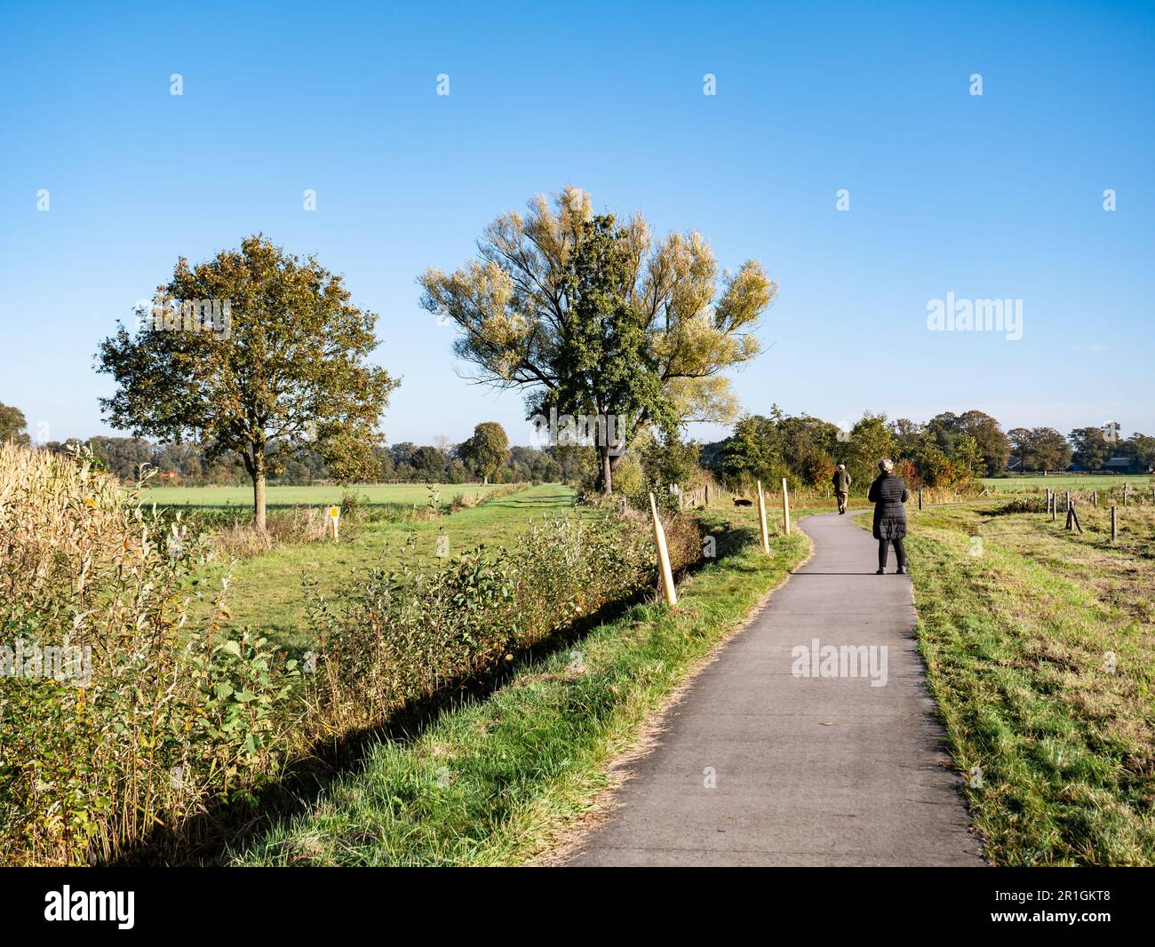 Seniorenpaar auf dem Fußweg im Naturschutzgebiet Dakhorst, Wierden, Overijssel Stockfoto