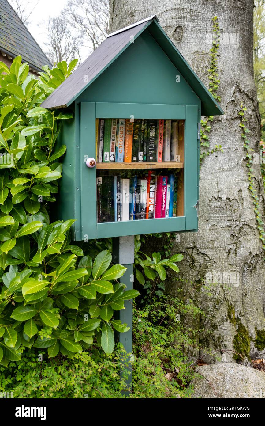 Kleine kostenlose Bibliothek mit zwei Buchreihen in einem kleinen grünen Holzhaus entlang der Straße, Hilversum, Niederlande Stockfoto