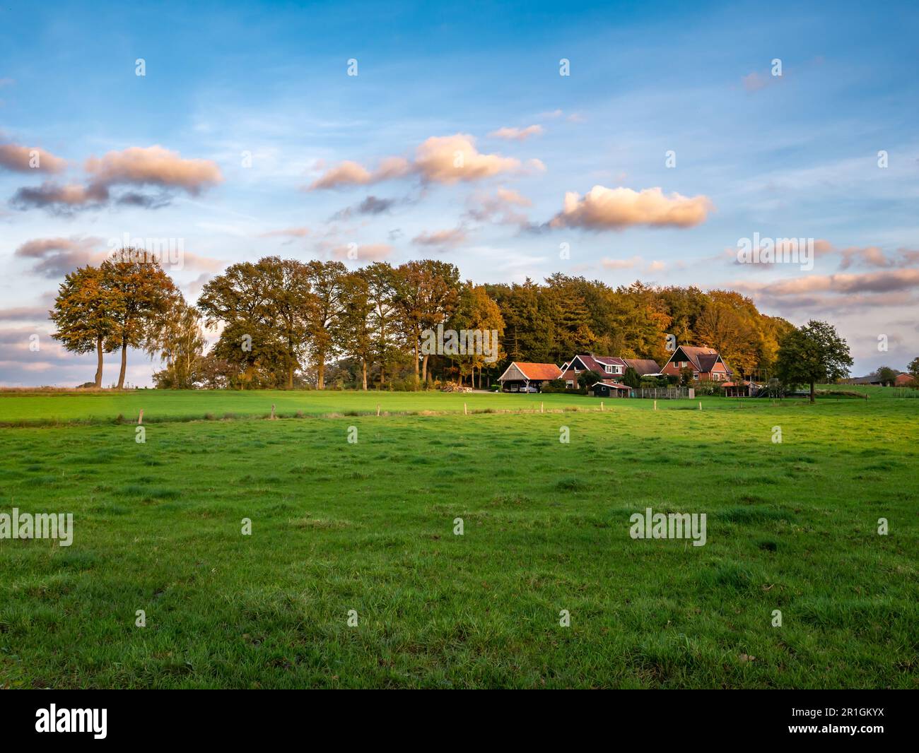 Bauernhof und Grünland auf dem Land in Beuningen zwischen Denekamp und Losser in Twente, Overijssel, Niederlande Stockfoto