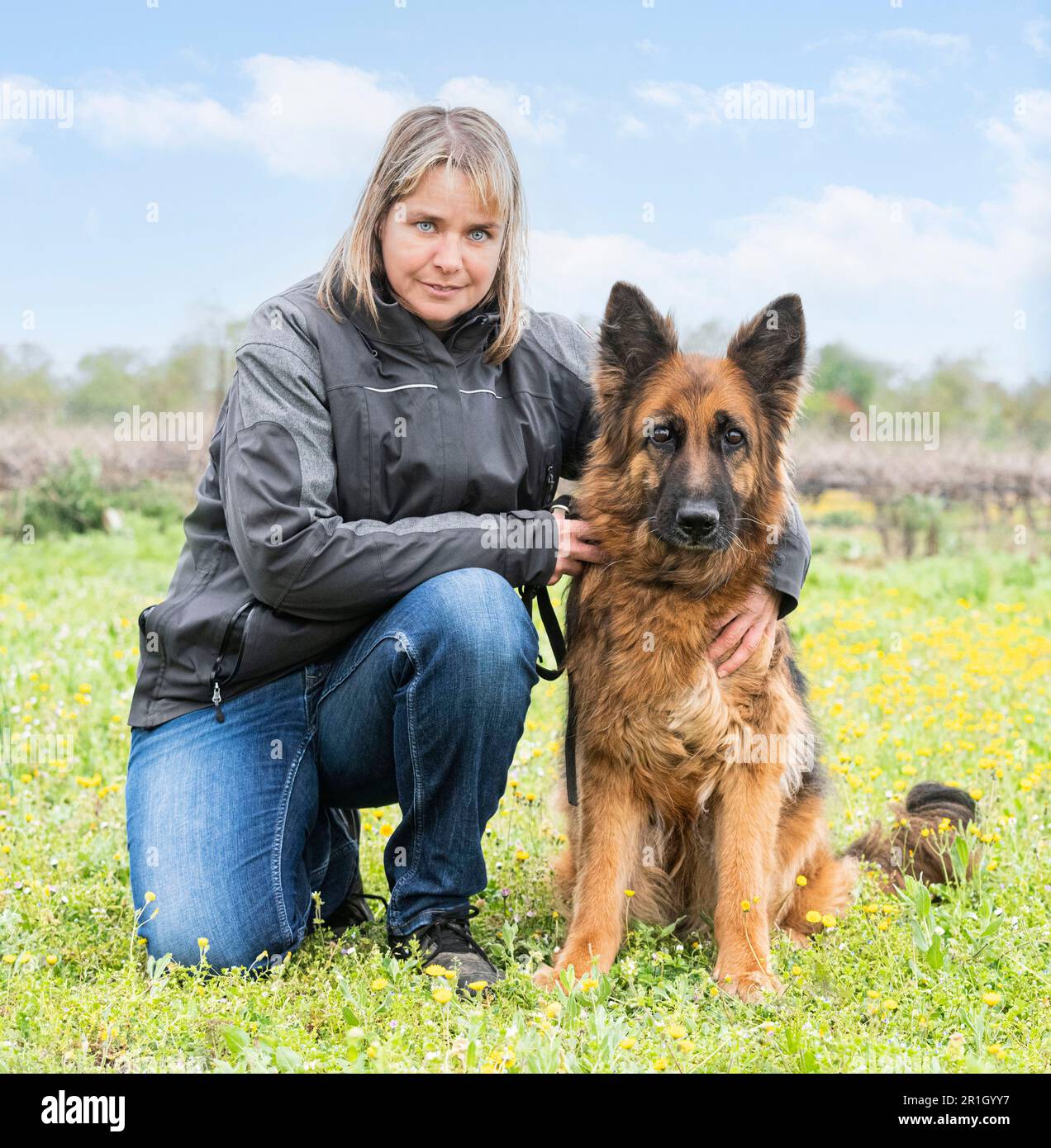 Der alte schäferhund und die Frau, die für Gehorsamskämpfe trainiert wird Stockfoto