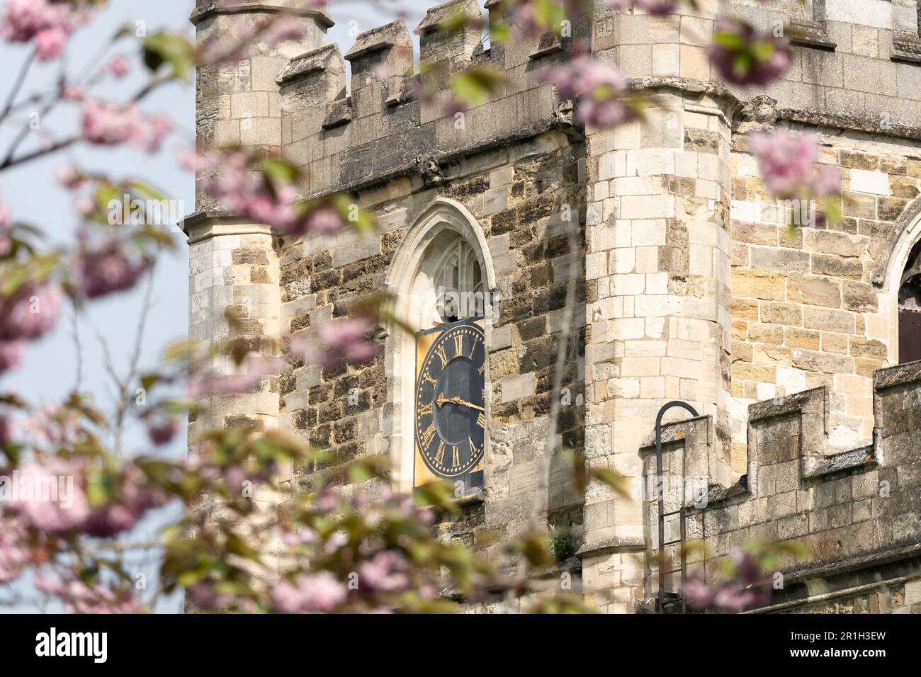 St. Michaels Kirche mit hübschen rosa Kwanzan-Kirschblüten im Frühling. Eine anglikanische Pfarrkirche, Stufe 1, gelistet in Basingstoke, England Stockfoto