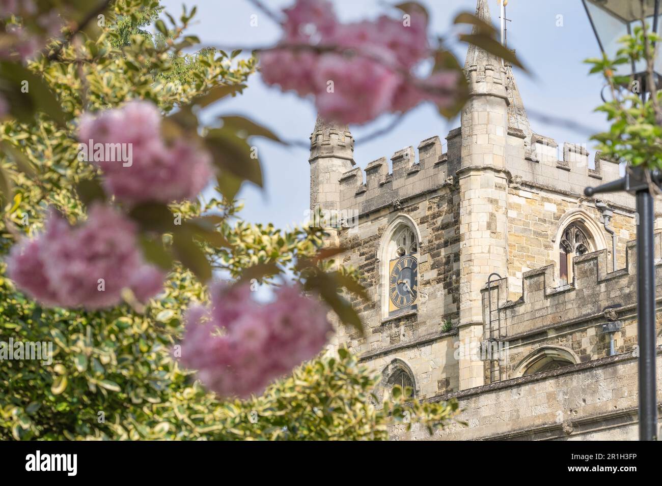 St. Michaels Kirche mit hübschen rosa Kwanzan-Kirschblüten im Frühling. Eine anglikanische Pfarrkirche, Stufe 1, gelistet in Basingstoke, England Stockfoto