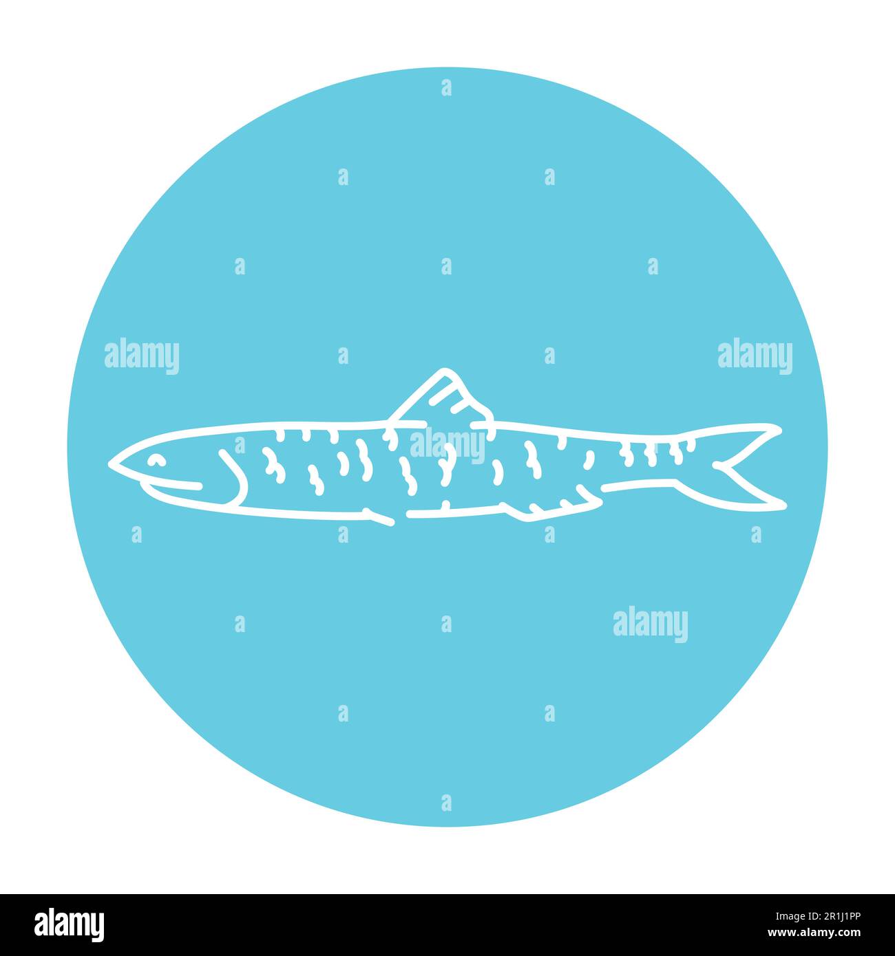 Anchovy Farbe Linie Illustration. Meeresfische. Stock Vektor