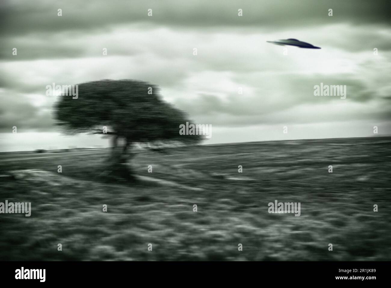 UFO, Raumschiff und Natur für Alien-Invasion, Fantasie und Science-Fiction mit Baum im Feld. Erde, Außerirdische oder Umwelt, Landschaft und Landschaft Stockfoto