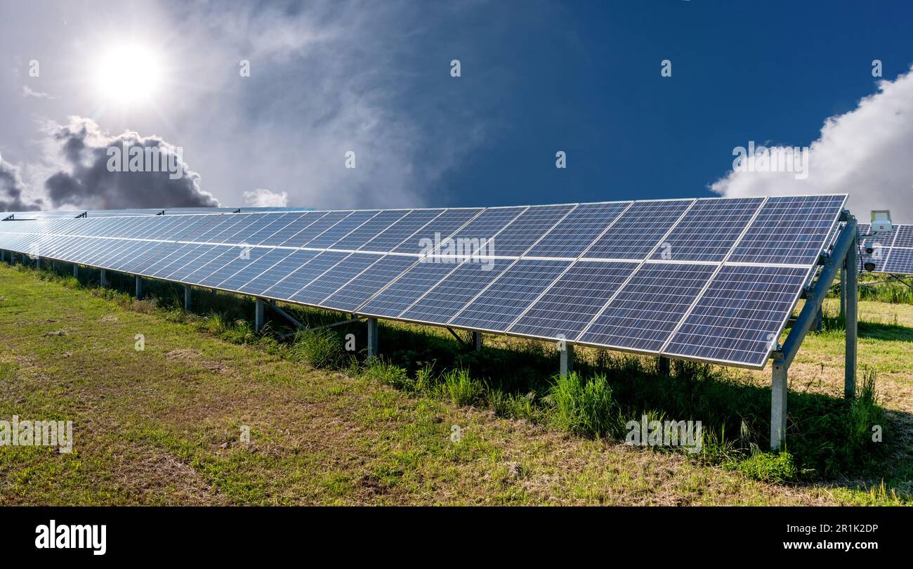 Solarpaneele auf grünem Feld in einem Land am blauen Himmel mit Sonnenschein, Photovoltaik Solarzellen-Energiefarm für die Erzeugung sauberer erneuerbarer Energie aus Stockfoto