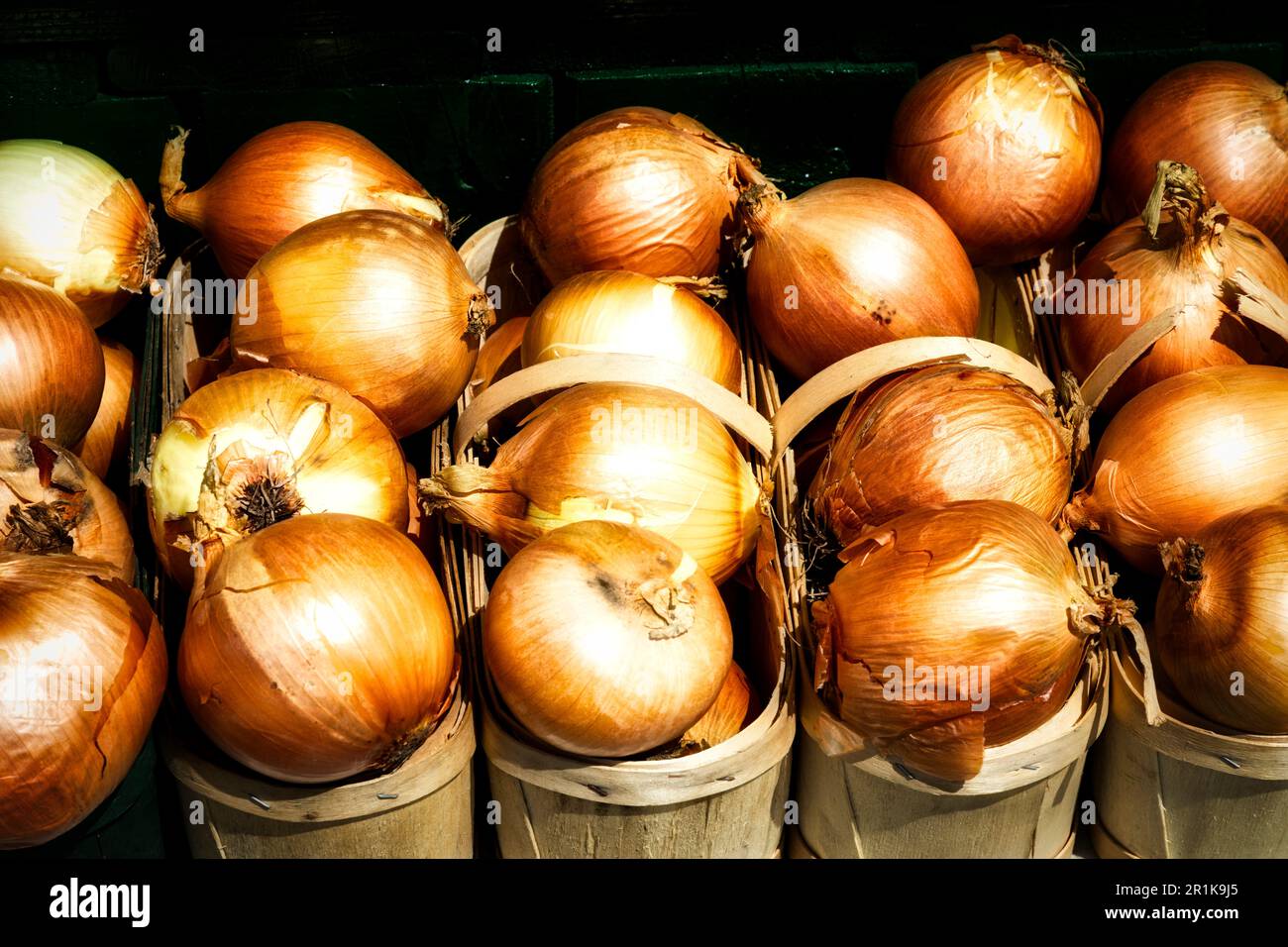 Vermarkte frische Zwiebeln im Korb. St. Jacob's Farmers Market, St. Jacob ist Ontario Kanada Stockfoto