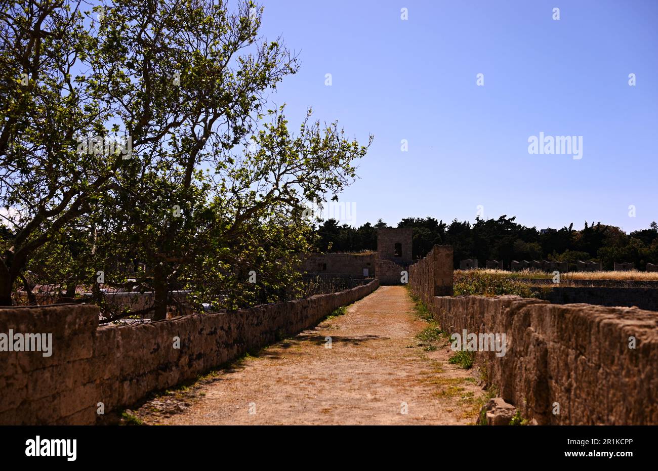Mittelalterliche Steinbrücke, die zu den Festungsmauern der Altstadt von Rhodos führt. Hohe Bäume entlang der Brücke. Stockfoto