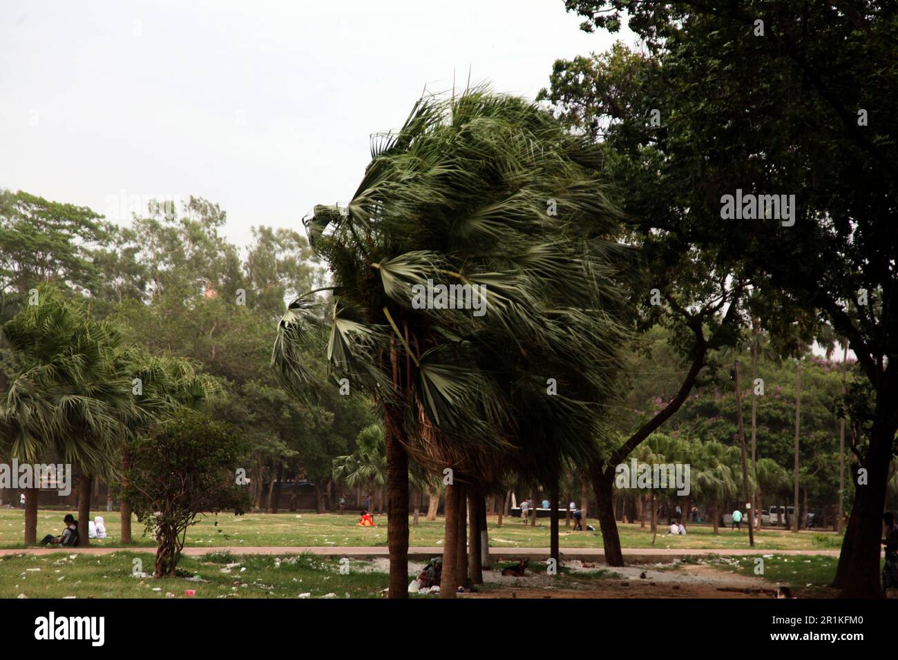 Coyclone Mocha 14may2023 Dhaka Bangladesch,aufgrund des Aufpralls des Zyklons Mocha weht stürmische Winde in der Hauptstadt für einige Zeit.Foto wurde gemacht Dhaka sohr Stockfoto