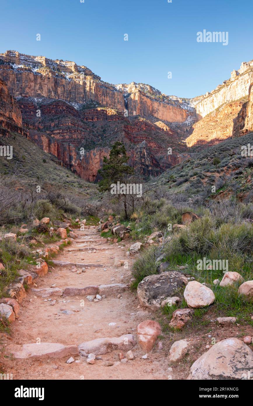 Bright Angel Trail verlässt Havasupai Gardens. Grand Canyon-Nationalpark, Arizona, USA. Stockfoto