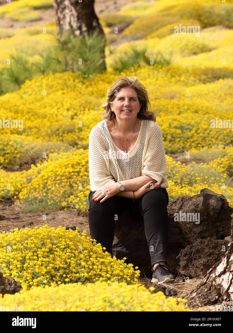 Reife Frau sitzt in den gelben Blumen lydia Genista Field im Teide-Nationalpark auf den Kanarischen Inseln von Teneriffa Stockfoto