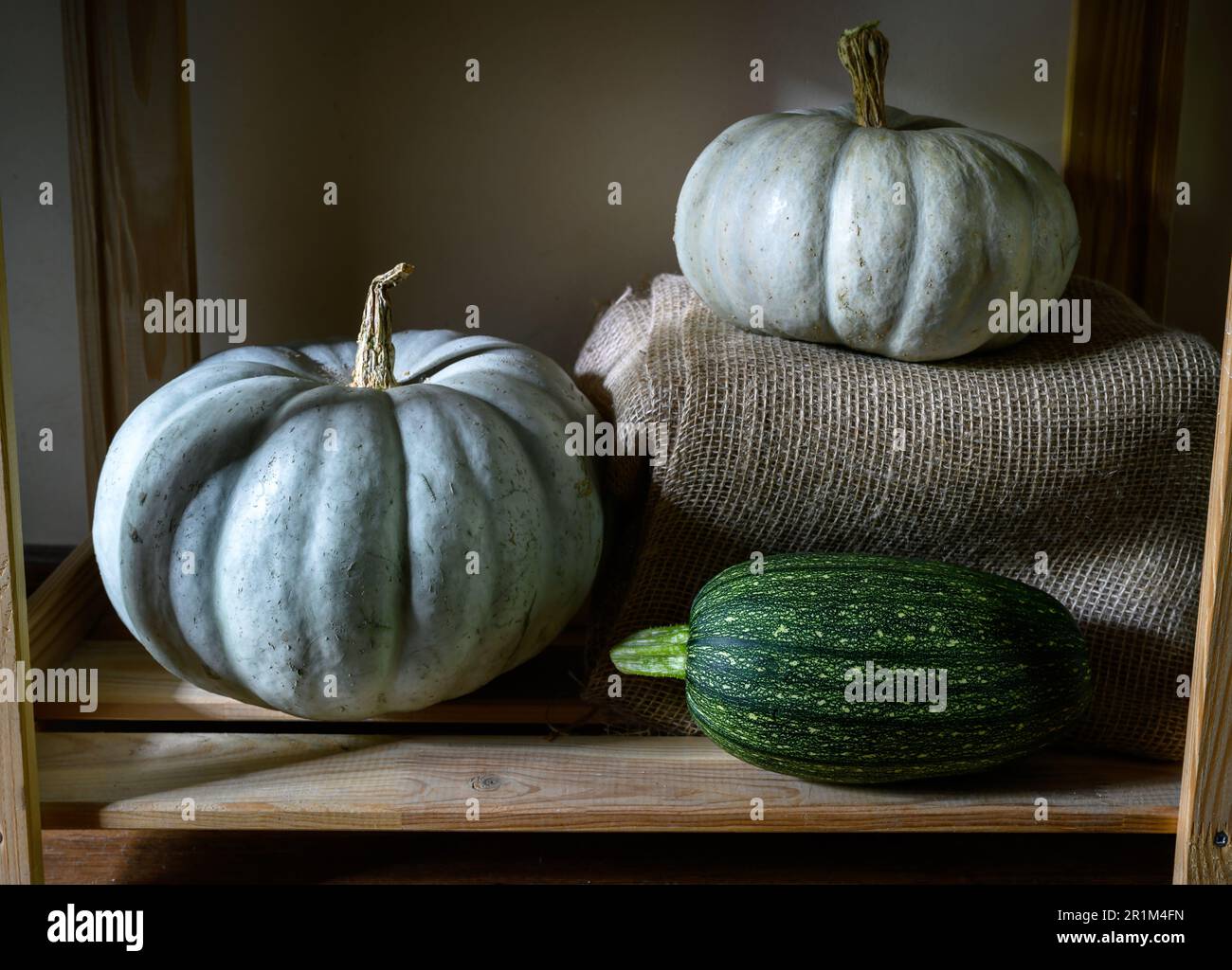 Gemüsemark und Kürbisse auf Holzregalen zu Hause, Stillleben von Bio-Lebensmitteln. Zucchini und weiße Kürbisse in rustikalem Interieur. Ernte, danke Stockfoto
