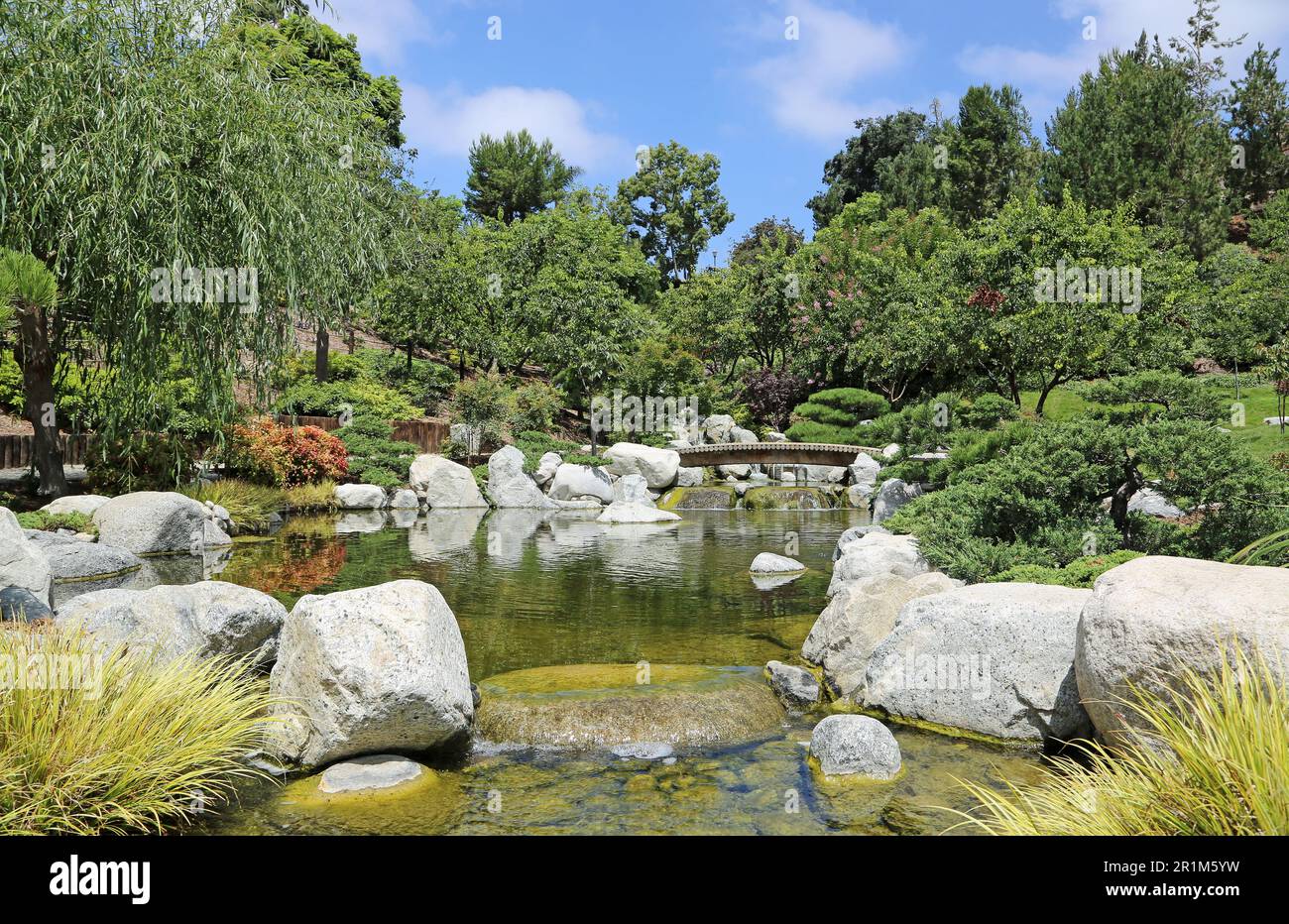 Landschaft im japanischen Garten - San Diego, Kalifornien Stockfoto