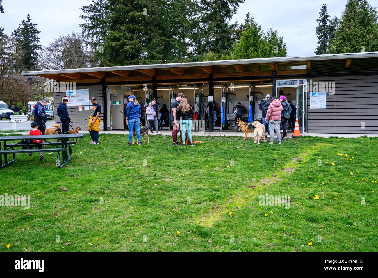 REDMOND, WA, USA – 2. APRIL 2023: Marymoor Park, Hundewäschestelle, Menschen und Hunde stehen in Schlange und in den Hundewäscheständen Stockfoto
