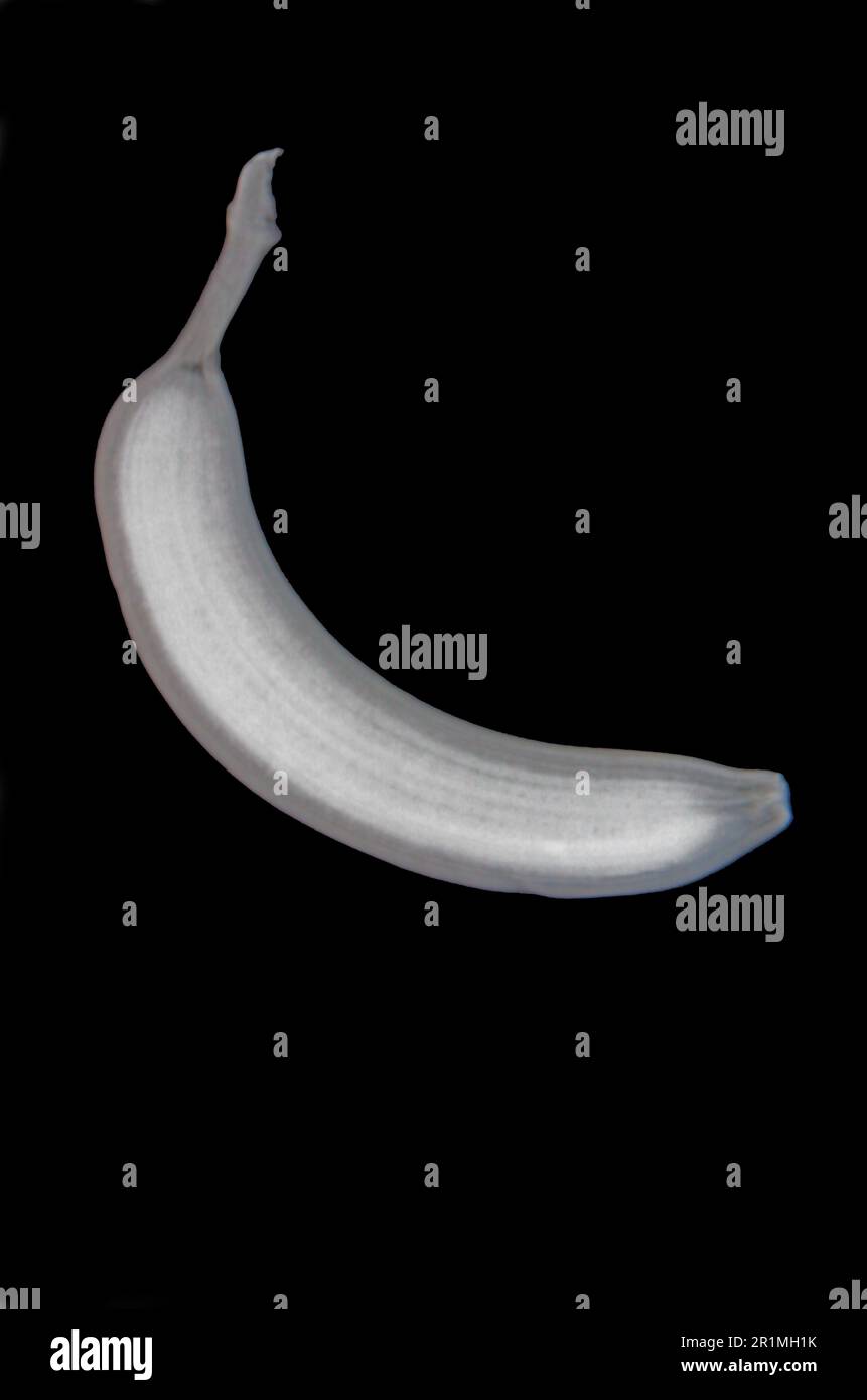 Röntgen-Bananen Stockfoto