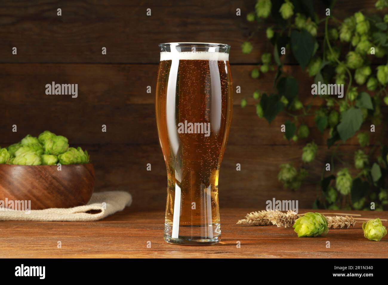 Ein Glas Bier, frischer grüner Hopfen und Stacheln auf einem Holztisch  Stockfotografie - Alamy