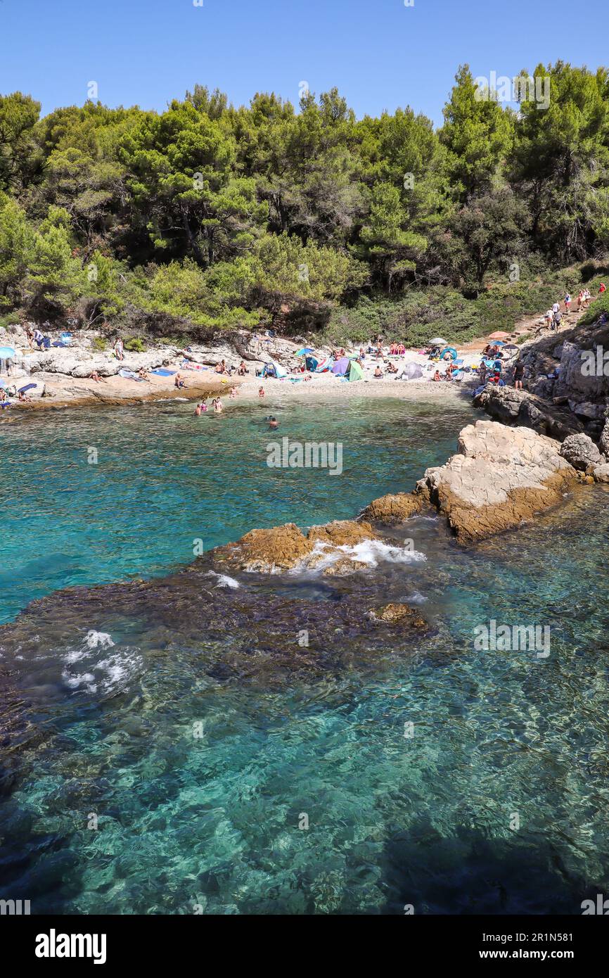 Pula, Kroatien - 20. August 2022: Vertikaler Blick auf den europäischen Urlaub mit Adria. Türkisfarbenes Wasser. Rocky Beach und Bäume in Istrien. Stockfoto