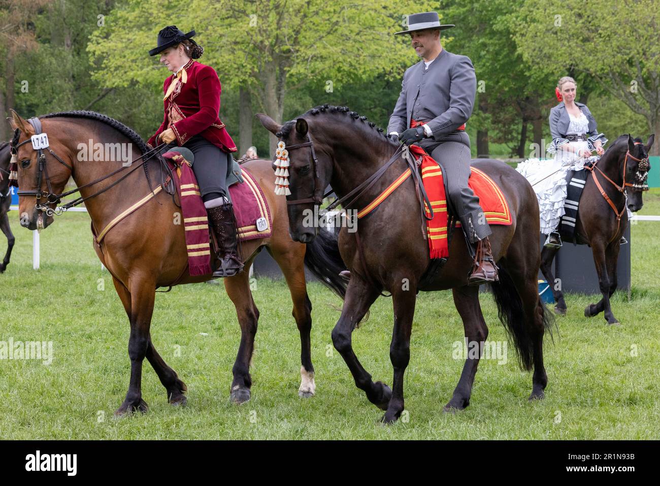 Teilnehmer an der diesjährigen Royal Windsor Horse Show, Großbritannien, nehmen an den reinrassigen PRE-, PRE-Fusion- und PRE-Associated Reds - Ridden (spanisch) der Klasse 114 Teil Stockfoto
