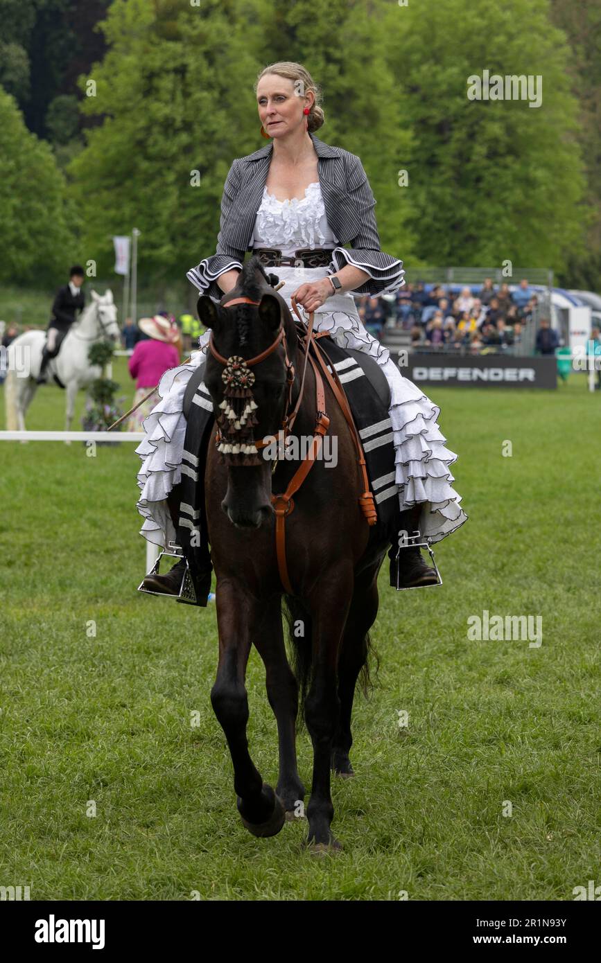 Teilnehmer an der diesjährigen Royal Windsor Horse Show, Großbritannien, nehmen an den reinrassigen PRE-, PRE-Fusion- und PRE-Associated Reds - Ridden (spanisch) der Klasse 114 Teil Stockfoto