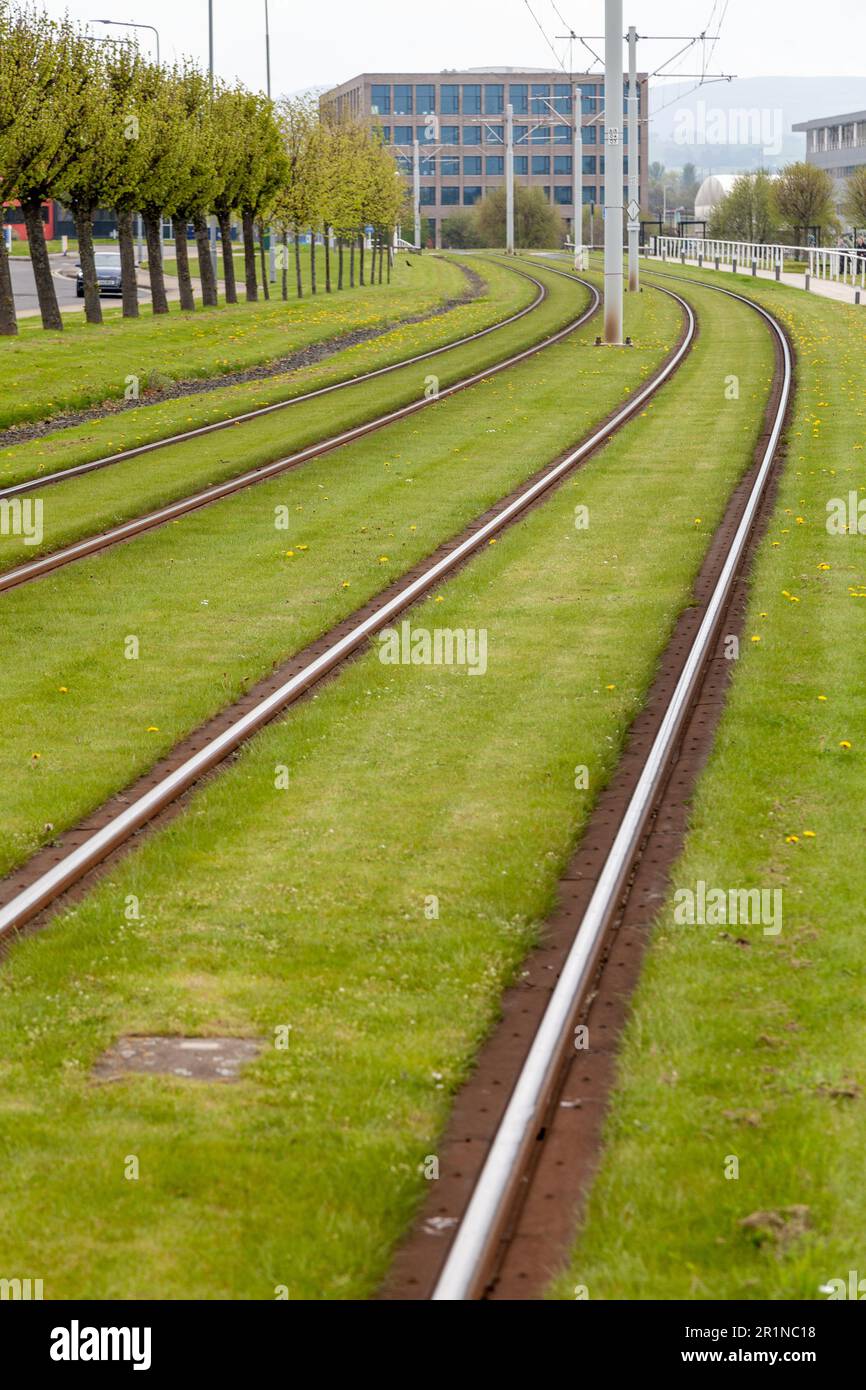 Straßenbahn durch Gras im Gewerbepark in South Gyle, Edinburgh, Schottland Stockfoto